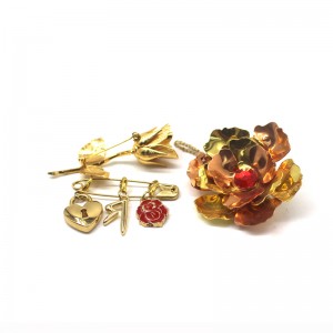 καρφίτσα πτερυγίου