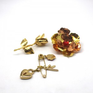 καρφίτσα πτερυγίου