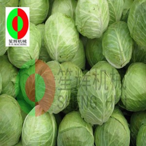 Μηχάνημα πυρήνα λάχανων TX-1000