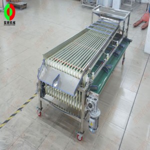 FJ-3000 ταξινομητής φρούτων