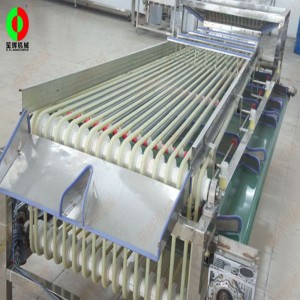 FJ-3000 ταξινομητής φρούτων