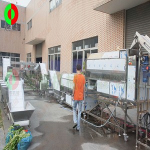 Μεγάλη γραμμή παραγωγής και αποφλοιώσεως λαχανικών και φρούτων