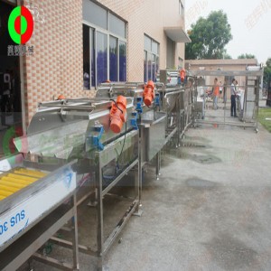 Μεγάλη γραμμή παραγωγής και αποφλοιώσεως λαχανικών και φρούτων