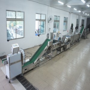 Μεγάλα πράσα που σκοτώνουν τη γραμμή παραγωγής