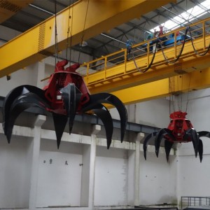 Διπλός γερανός γερανός με πιάσιμο