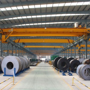 Ευρωπαϊκό υπερυψωμένο γερανό με διπλά δοκάρια