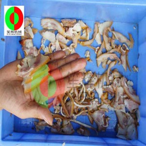 Μικρή συσκευή κοπής κρέατος / μηχανή κοπής κρέατος / μηχανή κοπής κρέατος / μικρός κατακόρυφος τεμαχιστής κρέατος QE-500