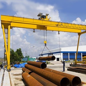 Ευρωπαϊκό γερανό γερανού