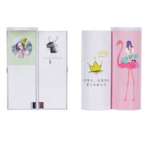 Flamingo Pencil Case Χαριτωμένο χαρτοπωλείο Πλαστικό κουτί δώρου