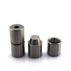 Προσαρμοσμένα εξαρτήματα καρβιδίου βολφραμίου για προοδευτικές πεθαίνουν από την Κίνα