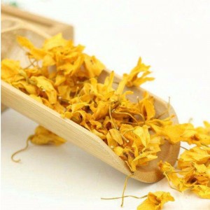 Caulis dendrobii λουλούδια