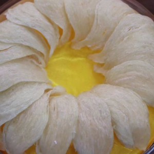 Φωλιά για πτηνά