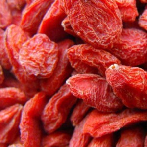 Κινέζικα βατόμουρα