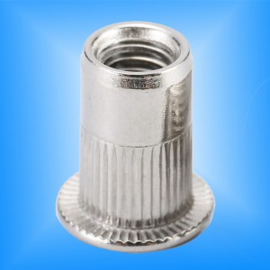 Κοτσαρισμένο σώμα με επίπεδη κεφαλή