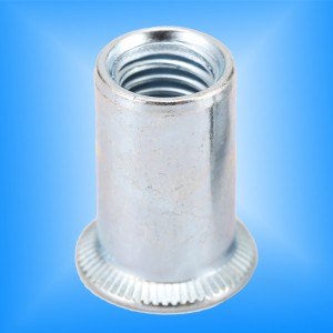 Στρογγυλό Σώμα με κεφαλή