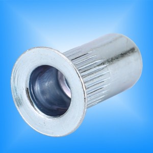 Καρφιτσαρισμένο σώμα κεφαλής