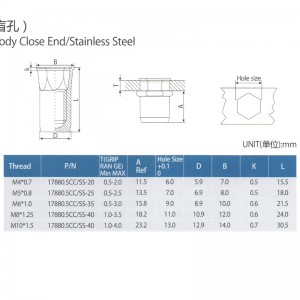 Μειώστε το κεφάλι Hex Inner-Hex Close Body