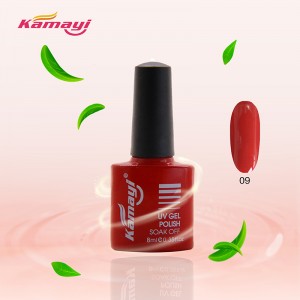 Ιδιωτική ετικέτα Gel Nail Πολωνικά Uv / οδήγησε Gel Nail Polish για το νυχιών
