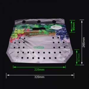 Οικολογικό φίλτρο τυπωμένο πλαστικό τσάντα συσκευασίας φρούτων ziplock φρούτων με τρύπες εξαερισμού