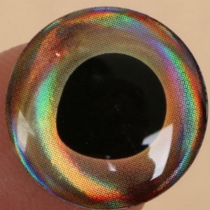 Ψάρεμα ψαρέματος ματιών, εποξικό θολωτό μάτι ψαριού