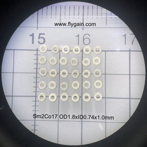 Κίνα Κατασκευαστής Micro ακριβείας μικρό μαγνήτη για κινητήρα