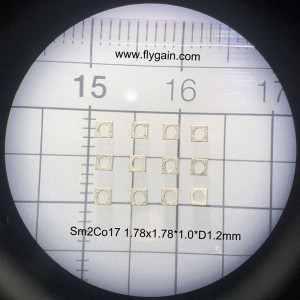 Μαγνητικό δαχτυλίδι SmCo Micro Precision για κινητό κινητήρα