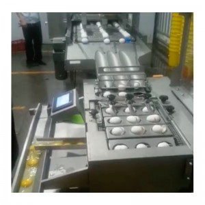 WXD96 Μηχανή πλύσης αυγών και ξήρανσης και θραύσης