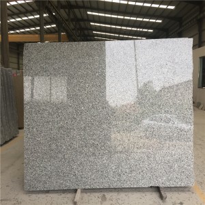 Γραμμή πλάκας από γκρίζο κύκνο