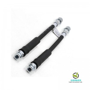 Σωλήνας φρένων (OE: