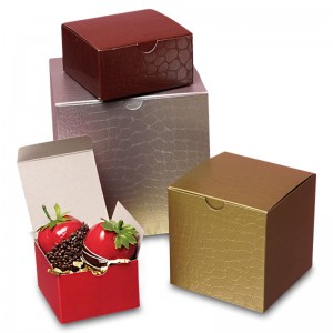 Έγχρωμο αλλιγάτορα ανάγλυφο τοίχο