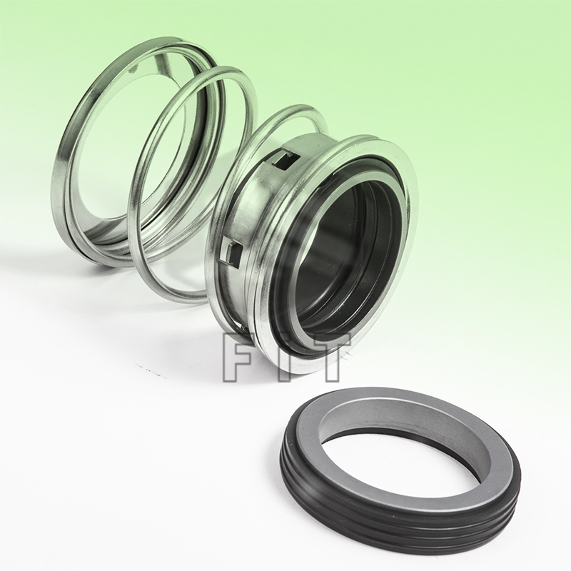 Ελαστομερές κάτω από τις μηχανικές σφραγίδες FT2