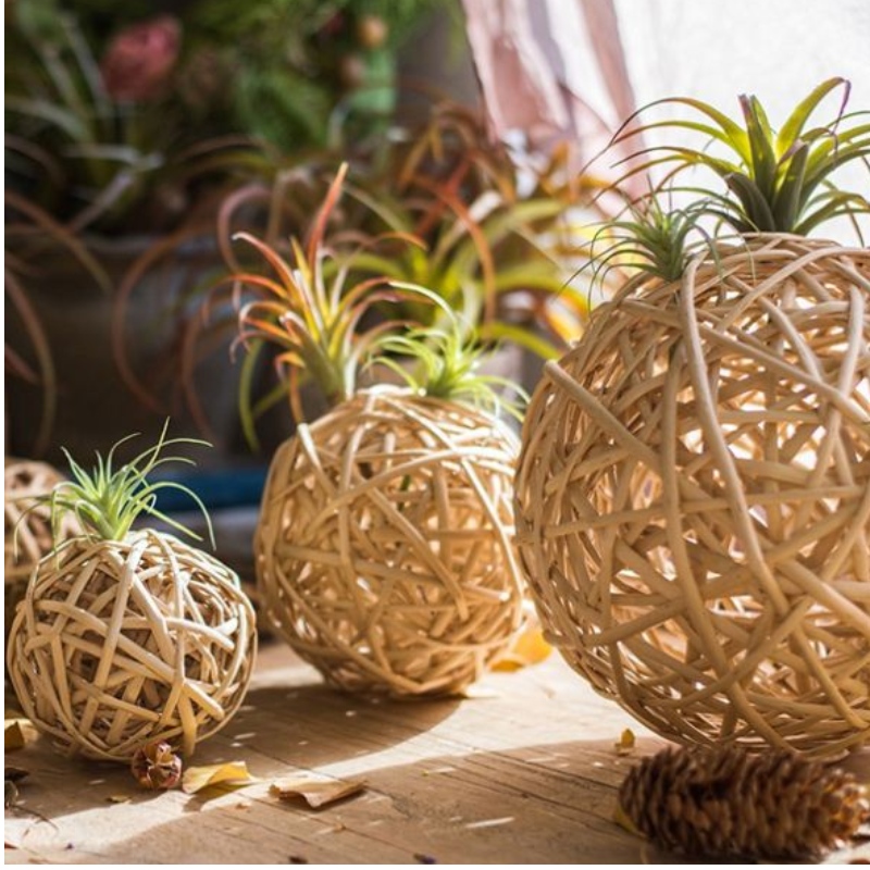 Γκαρνιτούρα κύκλου για γάμο