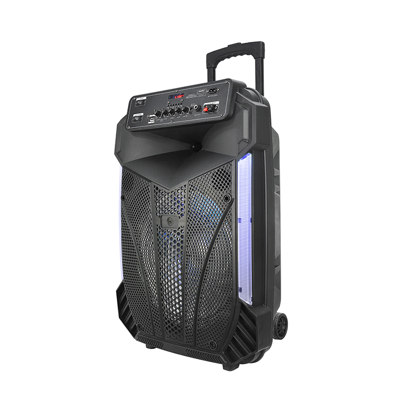 Ομιλητής Trollry Y-K9-12ZH