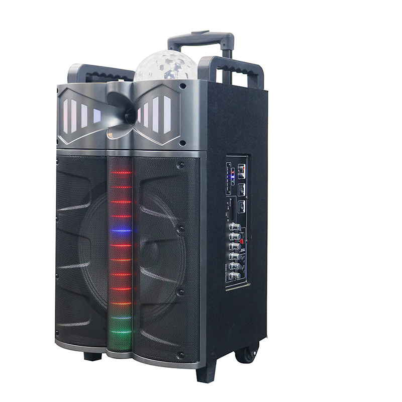 Ηχείο Trollry Y-DJ1201-12H