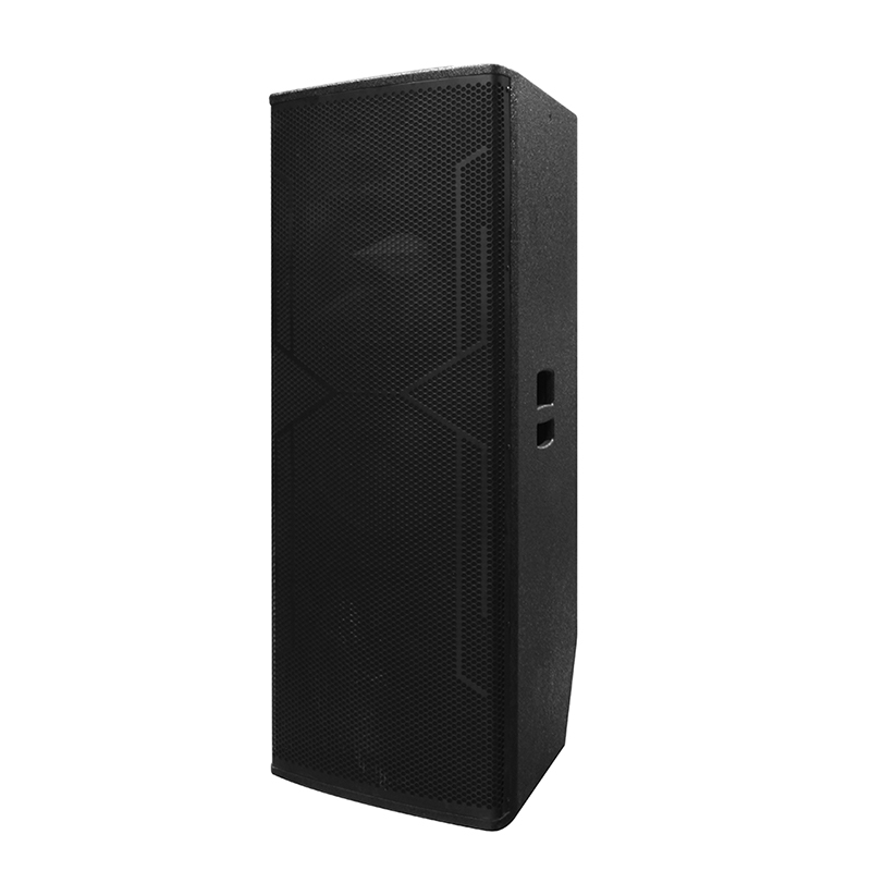 Μεγάλο ηχείο DJ Y-450DH