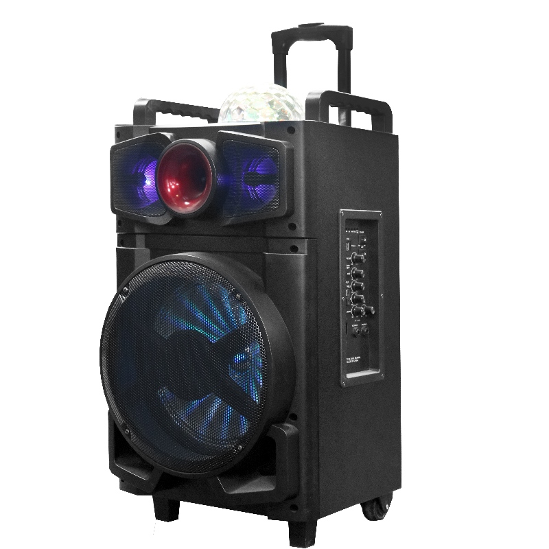 Ομιλητής Trollry Y-K8-12M2H