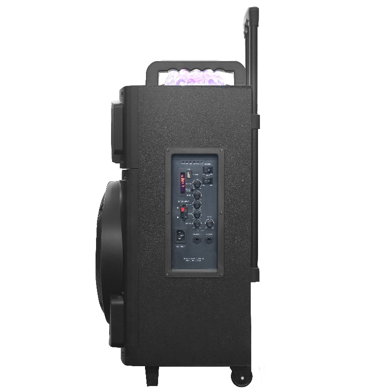 Ομιλητής Trollry Y-K8-12M2H