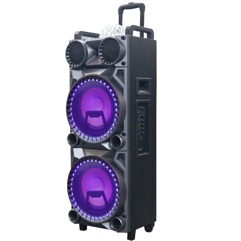 Ηχείο καροτσιού Y-S361H