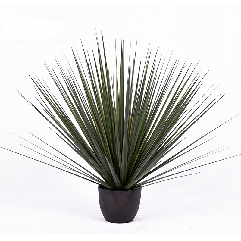 OH109200001/ OH109200002/ OH109200002/ OH109200003