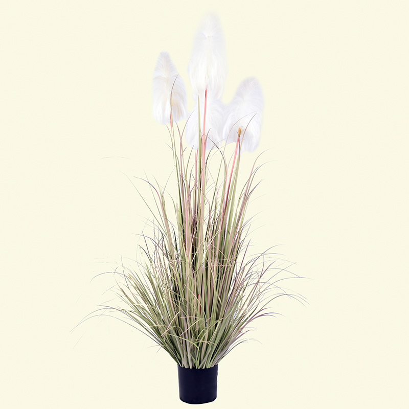 OH109200007/ OH109200008/ OH109200009