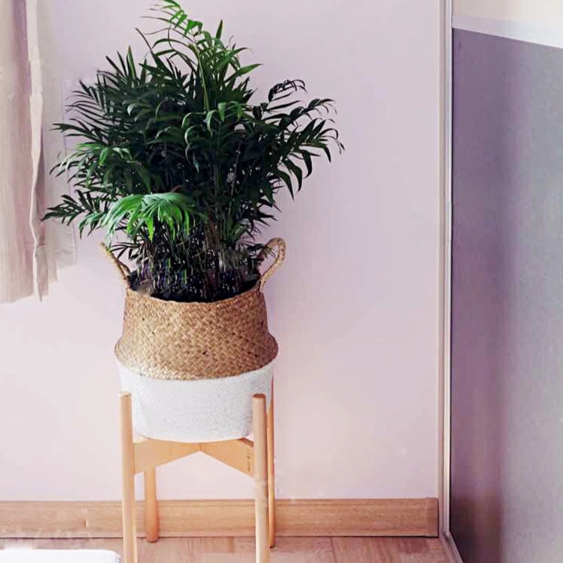 Αρχική διακόσμηση γλάστρα γλάστρα με οβάλ κρεμαστό καλάθι φύκια