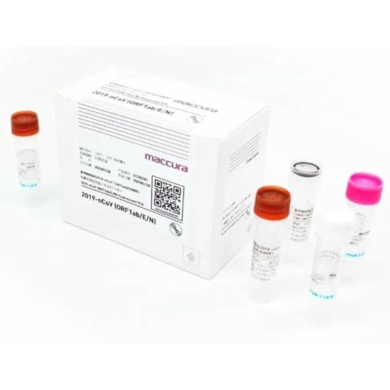 SARS-CoV-2 Φθορισμένο κιτ PCR