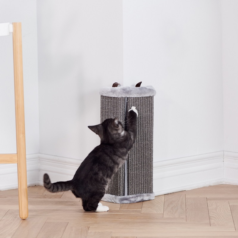 ΓΑΤΕΣ ΓΑΤΕΣ 1