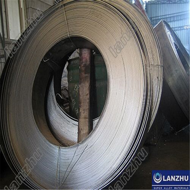 Χύτευση HASTELOY®C-276, σώμα βαλβίδας (UNS N10276, W.NR.2.4819, Nickel Alloyc-276)