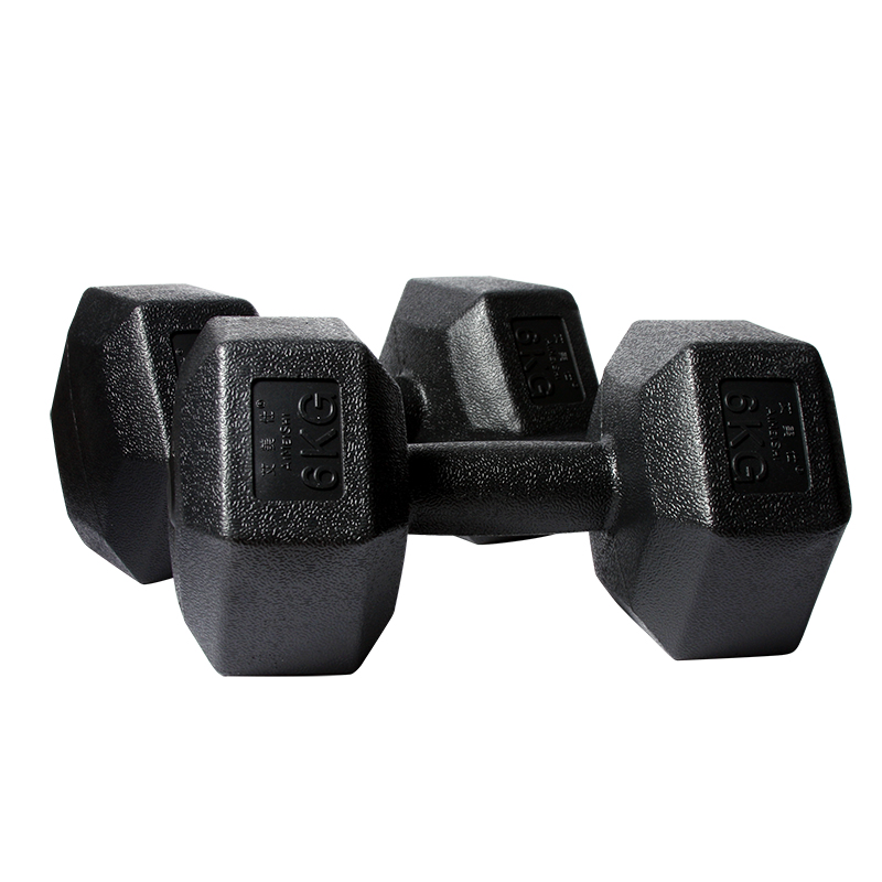 Home Hexagonal Dumbells Hex Rubber