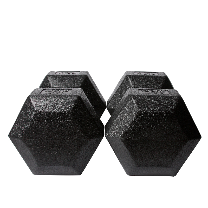 Home Hexagonal Dumbells Hex Rubber