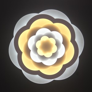 Φωτιστικό οροφής AC805