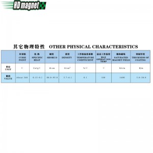 Συνδεδεμένος μαγνήτης NdFeB