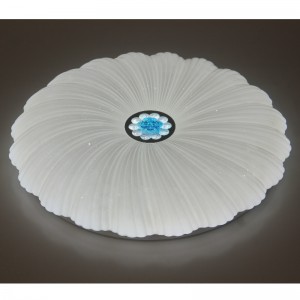 CX202 Φωτιστικό οροφής