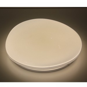 Φωτός οροφής CX208